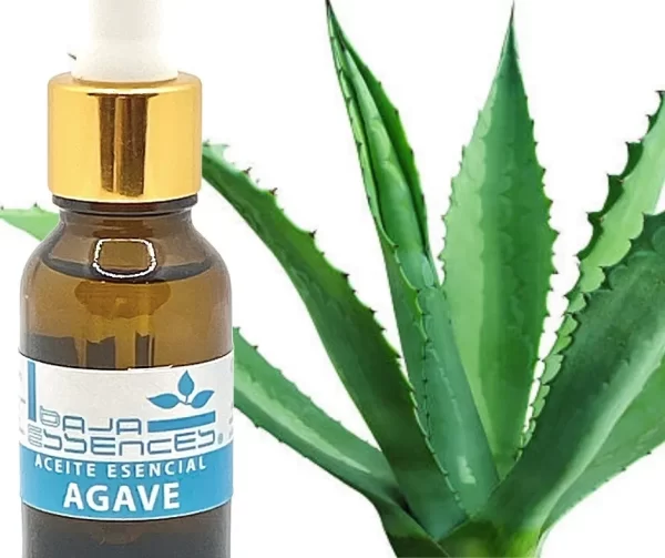 ACEITE ESENCIAL de Agave Baja Essences 15ML