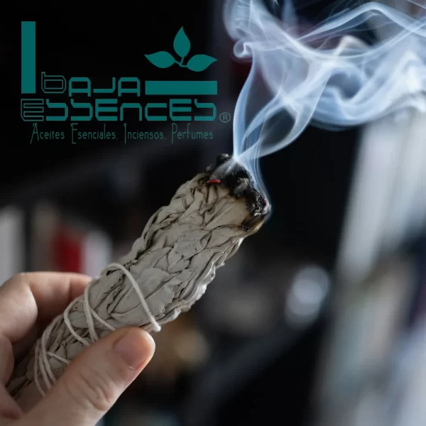SALVIA BLANCA SAGE Para Limpieza Espiritual Y Smudging - Image 4