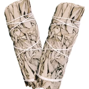 SALVIA BLANCA SAGE Para Limpieza Espiritual Y Smudging