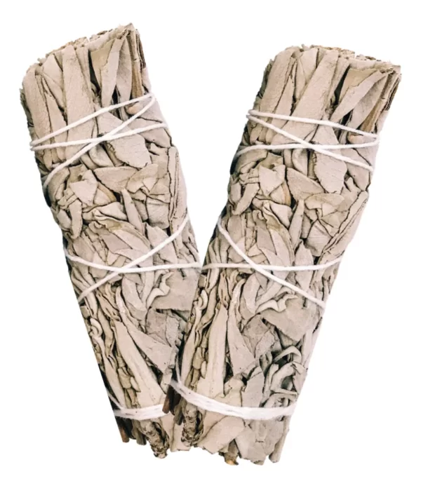 SALVIA BLANCA SAGE Para Limpieza Espiritual Y Smudging