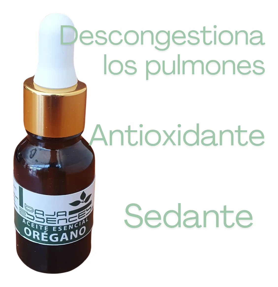 Aceite Esencial de OREGANO Baja Essences - Image 3