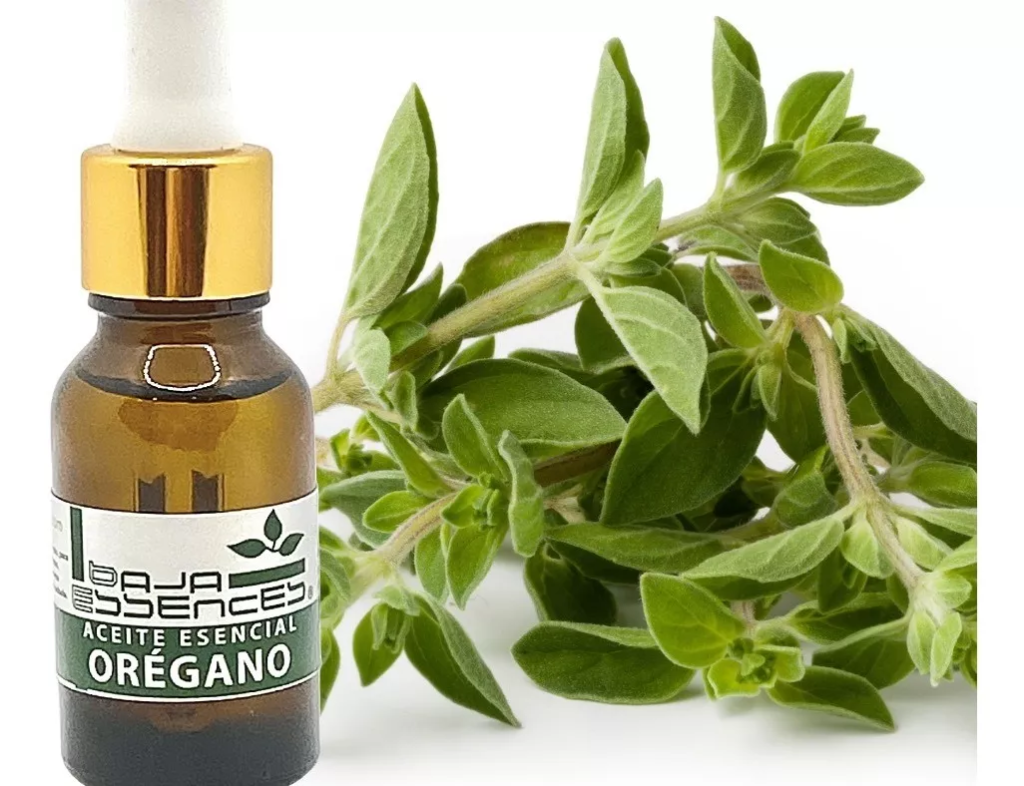 aceite esencial de orégano baja essences