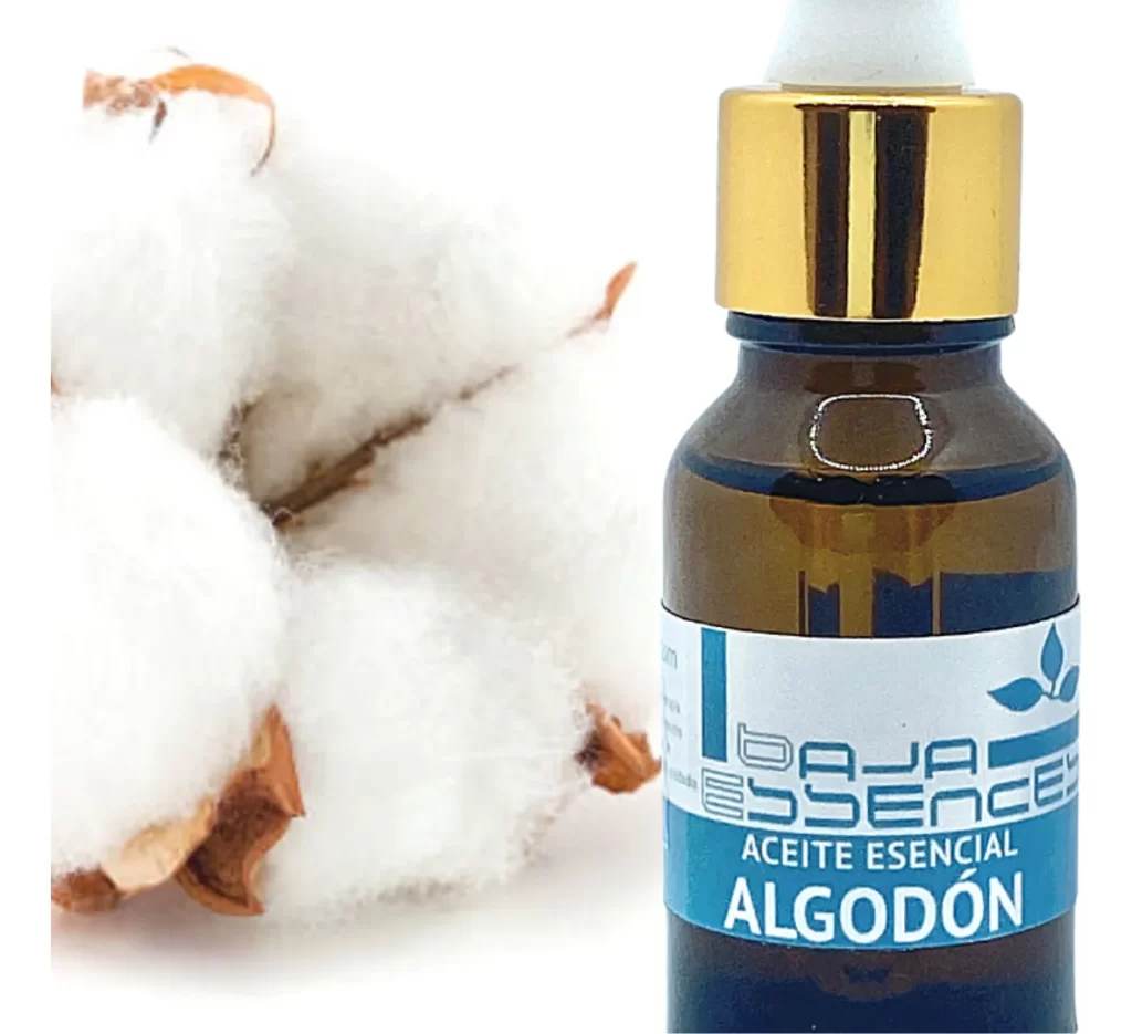 aceite esencial de algodon baja essences
