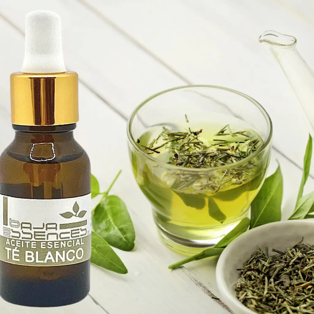 aceite esencial de té blanco baja essences