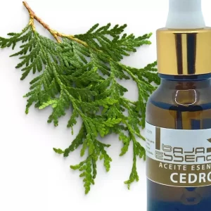 El Aceite Esencial de Cedro Baja Essences