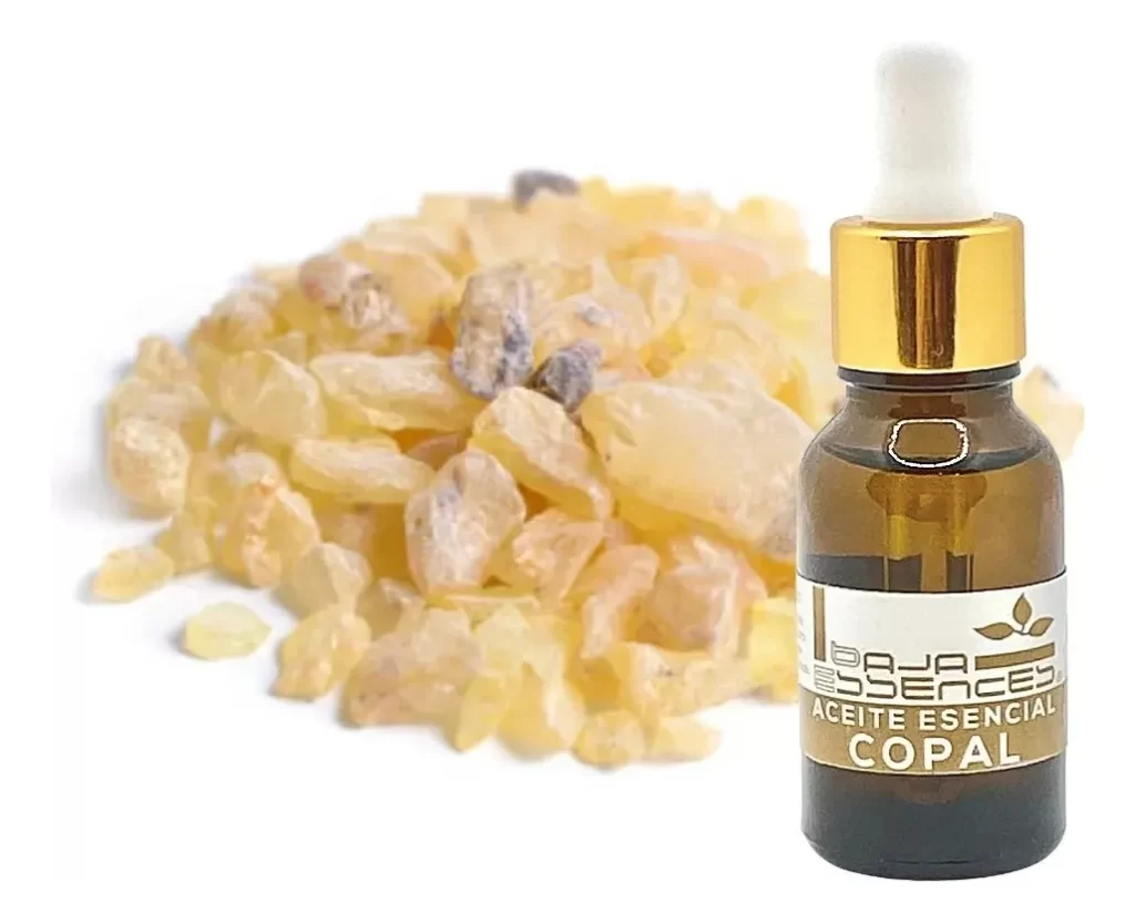 El Aceite Esencial de Copal Baja Essences